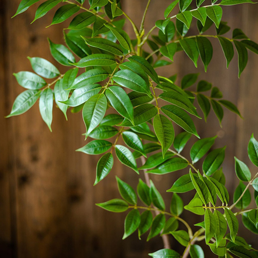 76-140cm Large Artificial Ficu - Ficus Lyrata Tree review and price