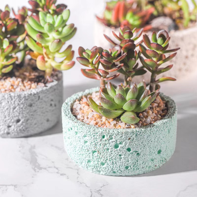 Nordic cement flowerpot simple - Echeveria Succulent review and price