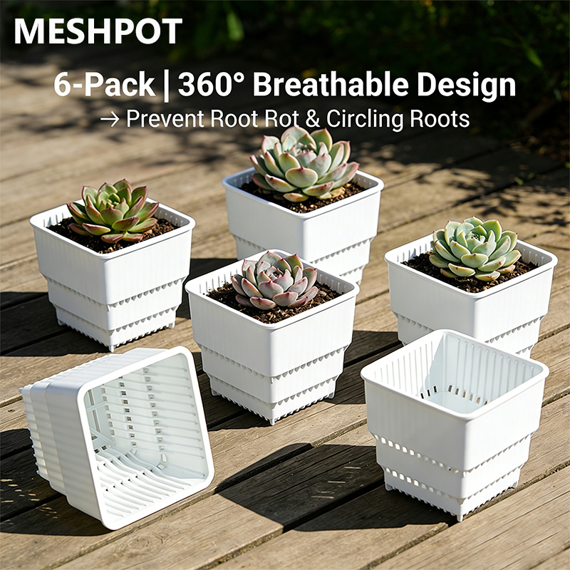 MESHPOT 6-Pack Square Pots for - Echeveria Succulent review and price