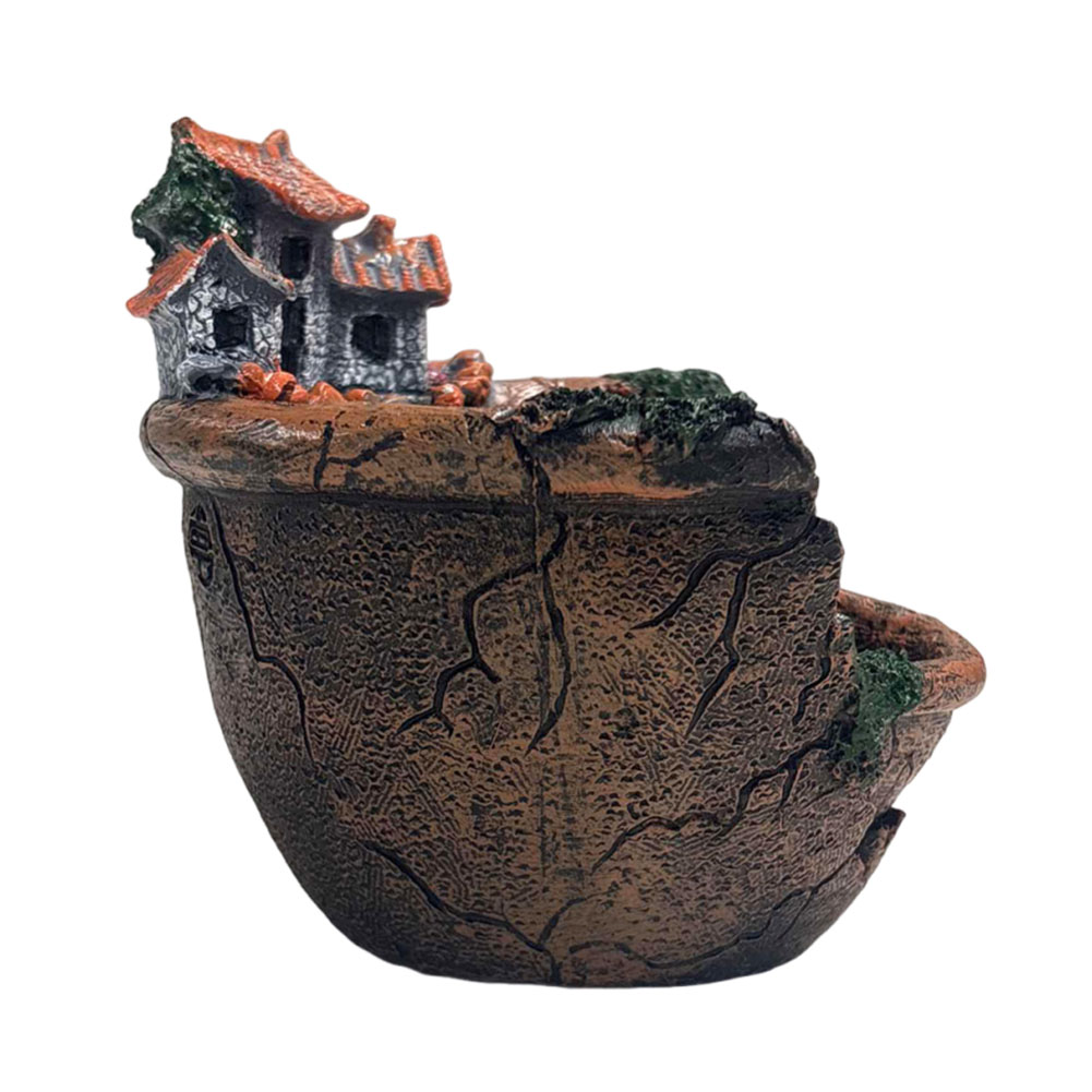 Succulent Pot Vintage Multi Po - Echeveria Succulent review and price